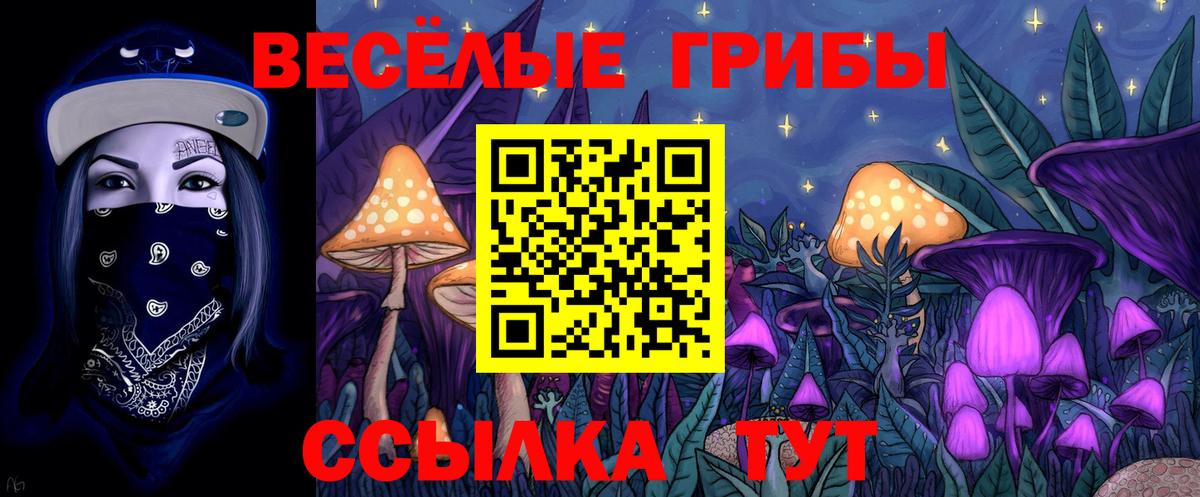 Псилоцибиновые грибы ЛСД  Вход с VPN  Тосно 